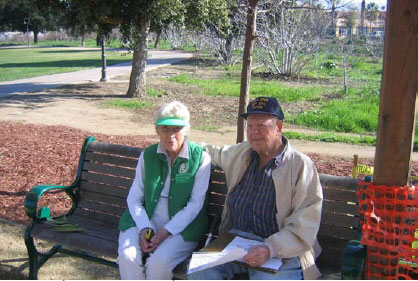 forestbench.jpg