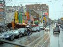 DSC03610Lg.jpg