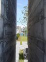 DSC03820Lg.jpg