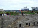 DSC03264Lg.jpg