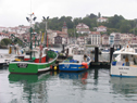 IMG_7554Lg.jpg