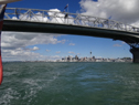 DSC07538Lg.jpg