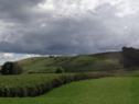 DSC07605Lg.jpg