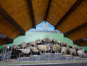 DSC07712Lg.jpg