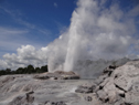 DSC07751Lg.jpg