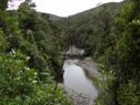 DSC07958lg.jpg