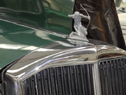 DSC08396Lg.jpg