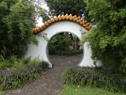 DSC08738Lg.jpg
