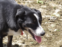 DSC08892Lg.jpg